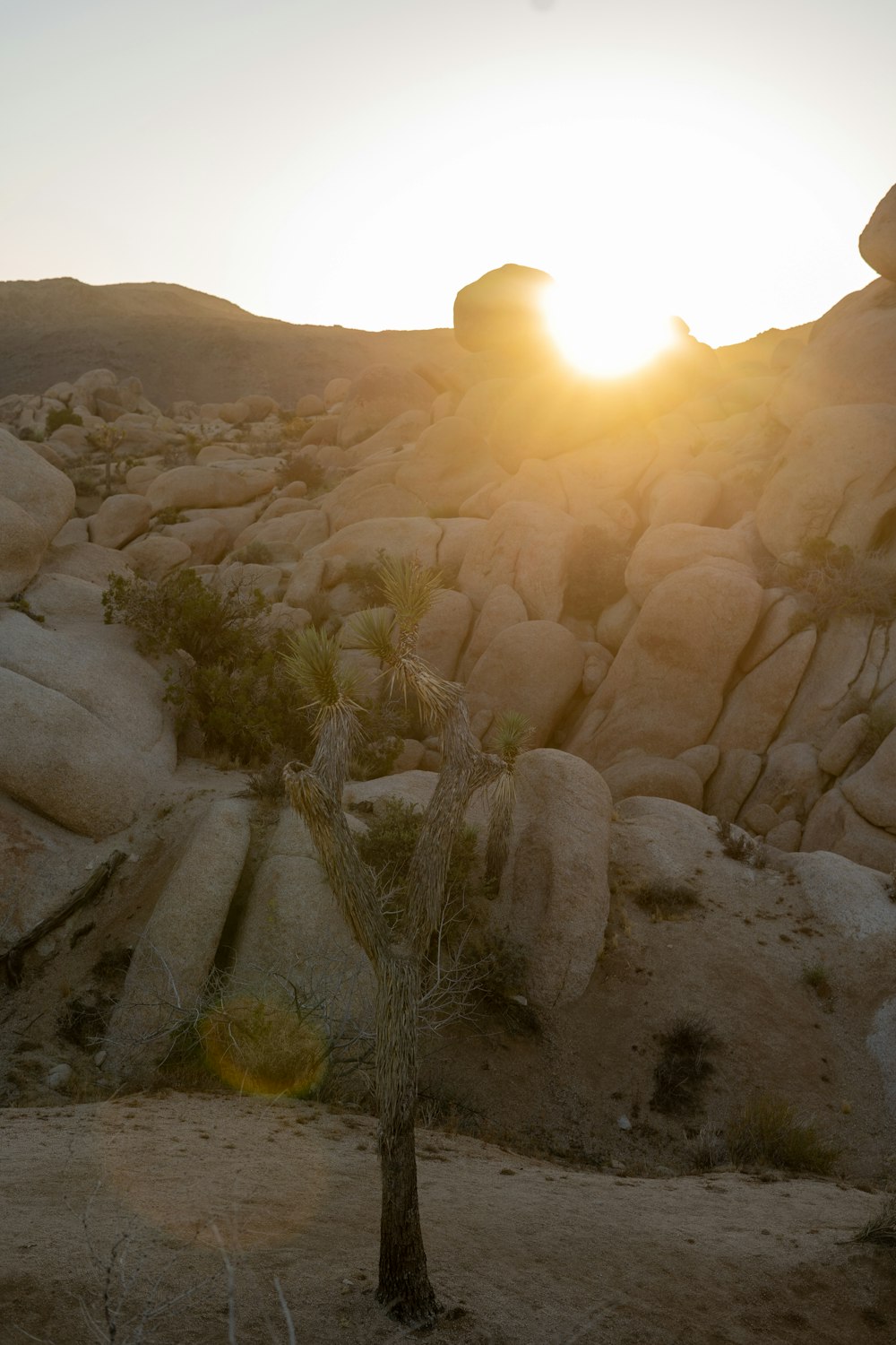 the sun is setting over a rocky landscape