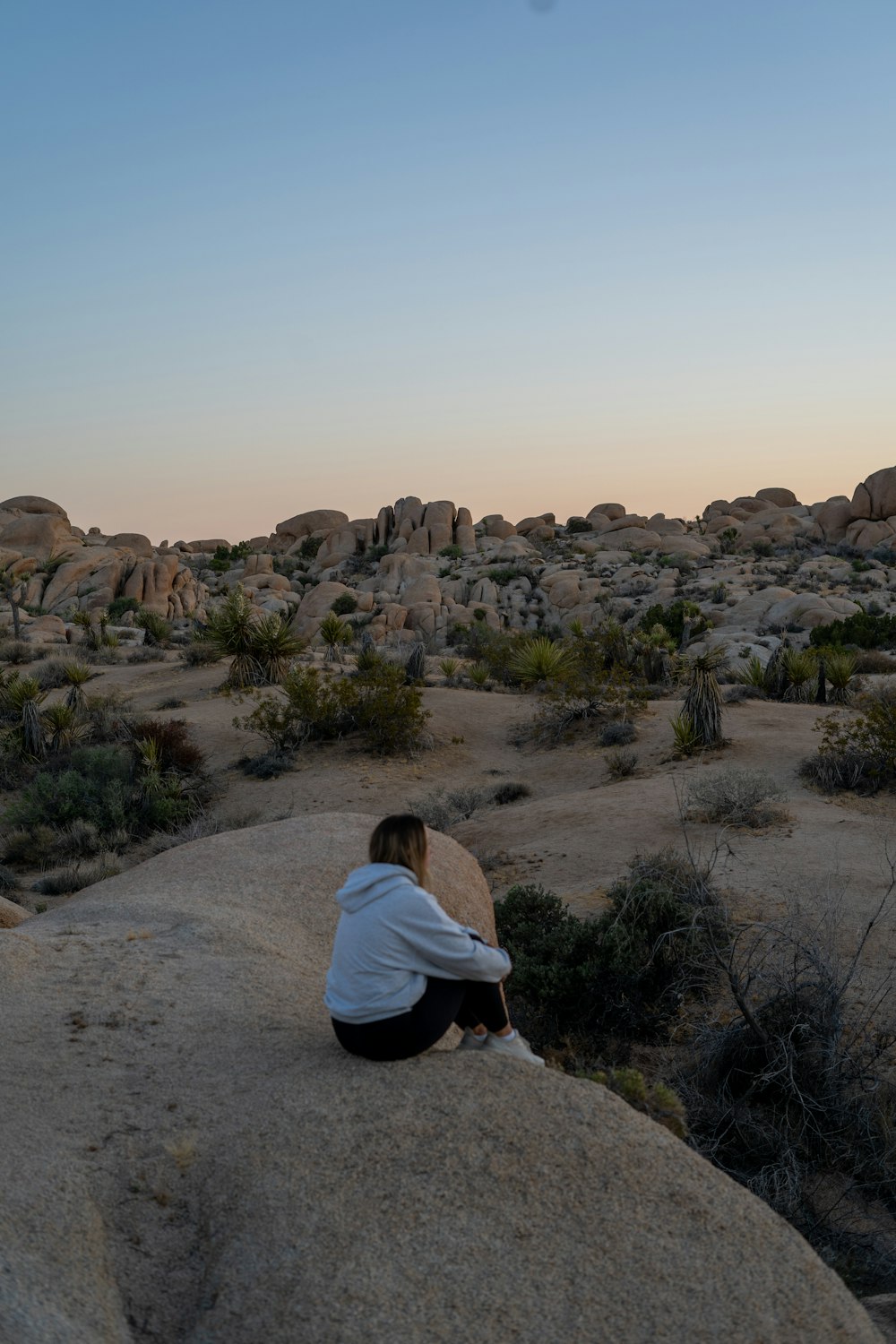 a person sitting on a rock in the desert
