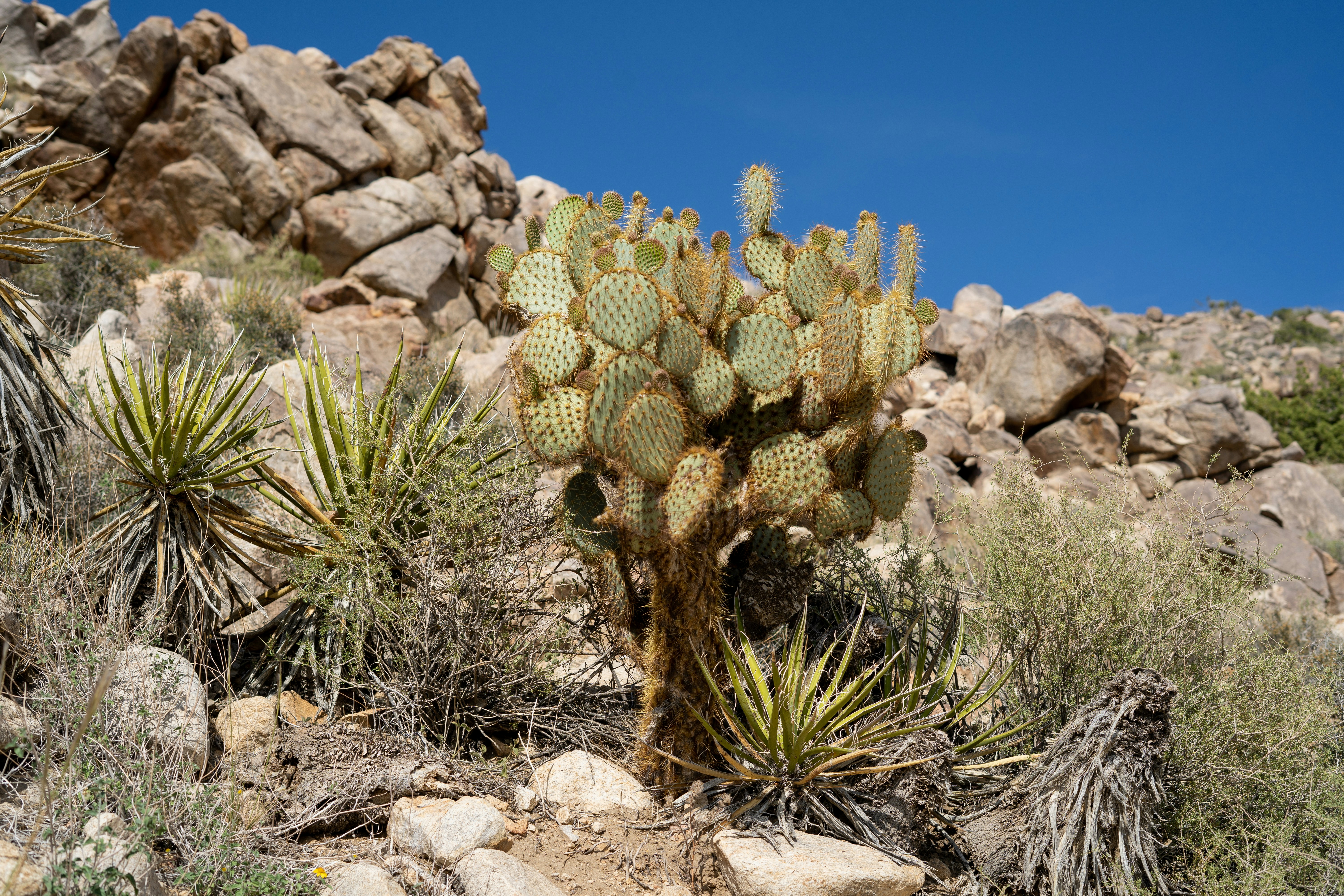 Photo by raquellucine