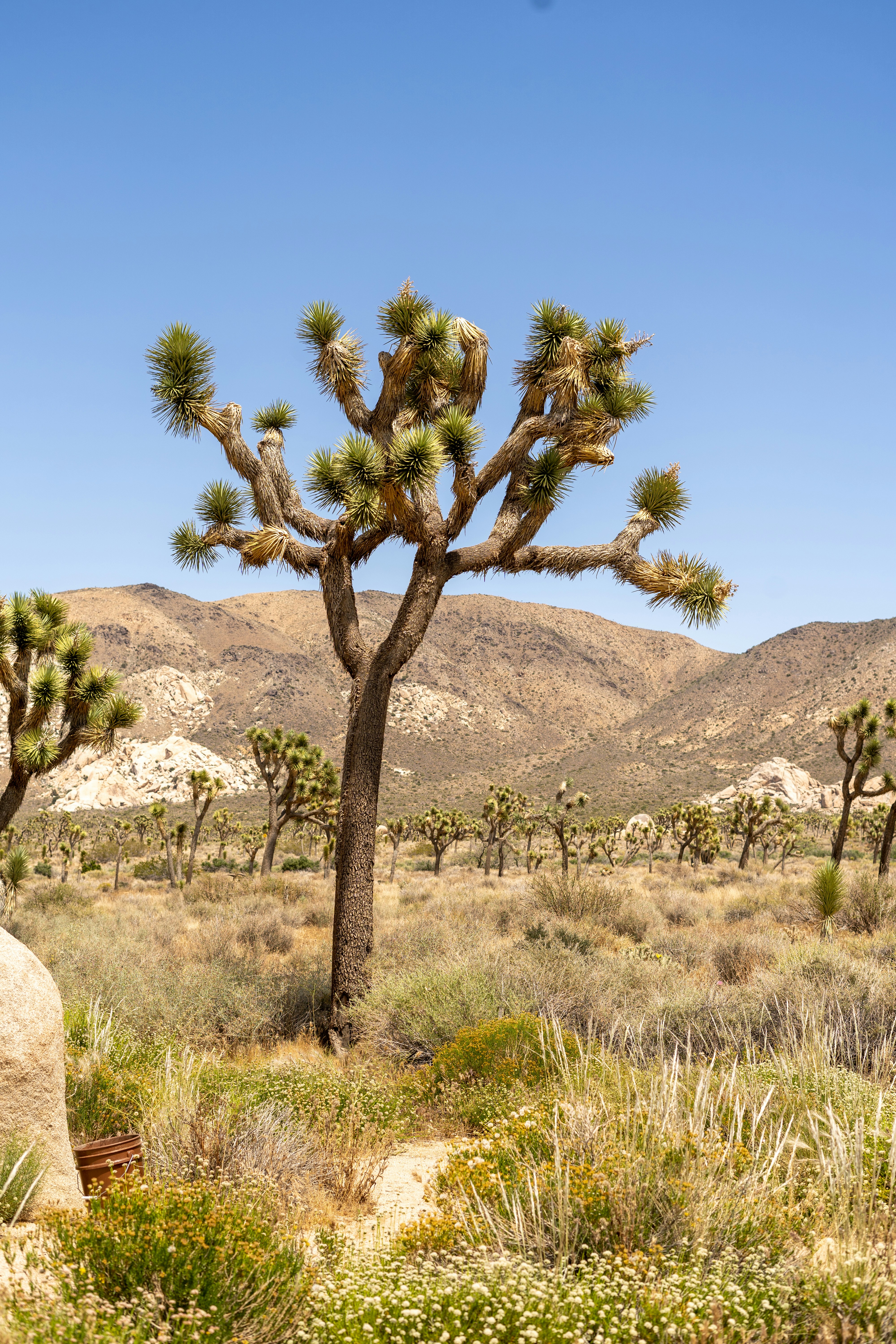 Photo by raquellucine