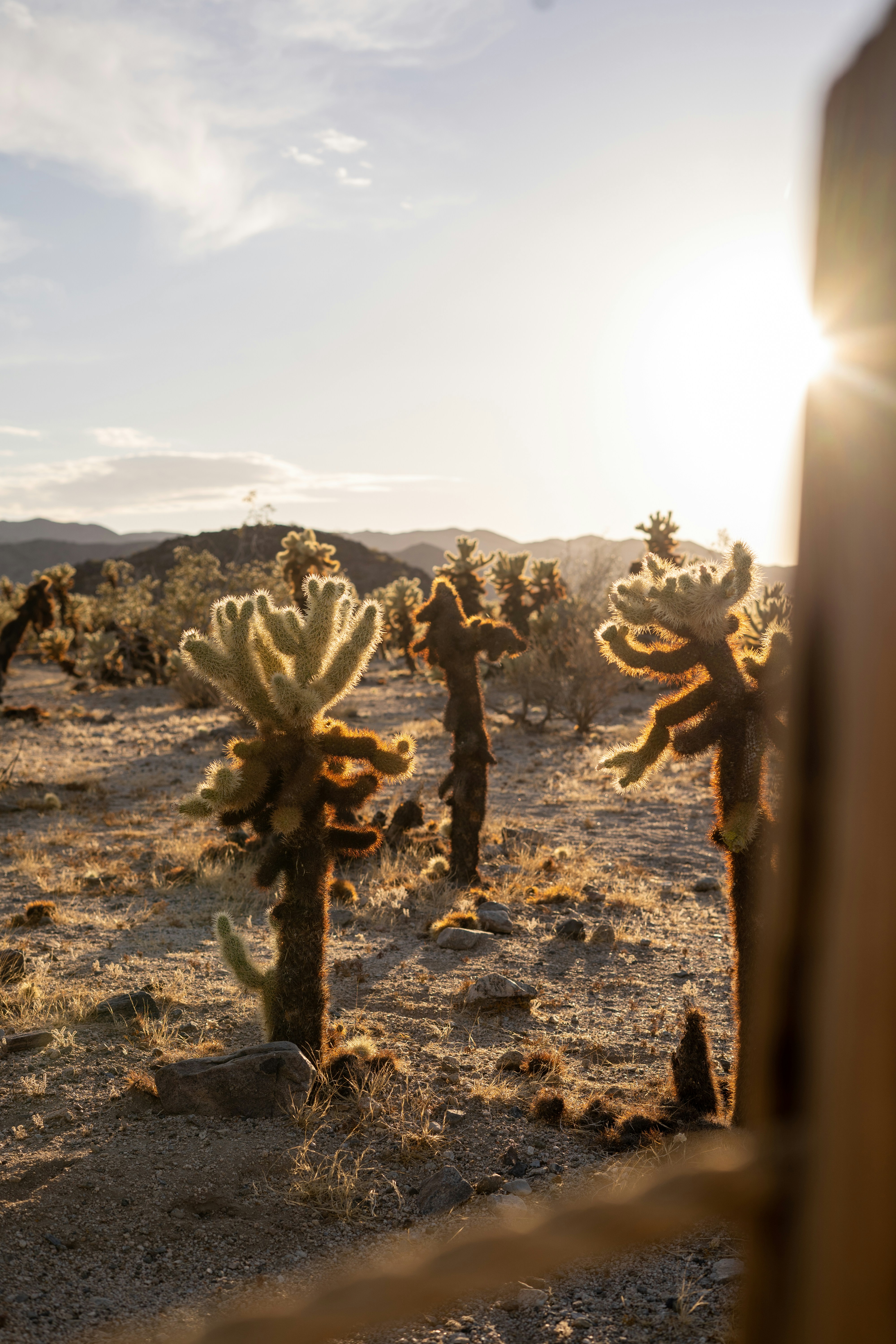 Photo by raquellucine