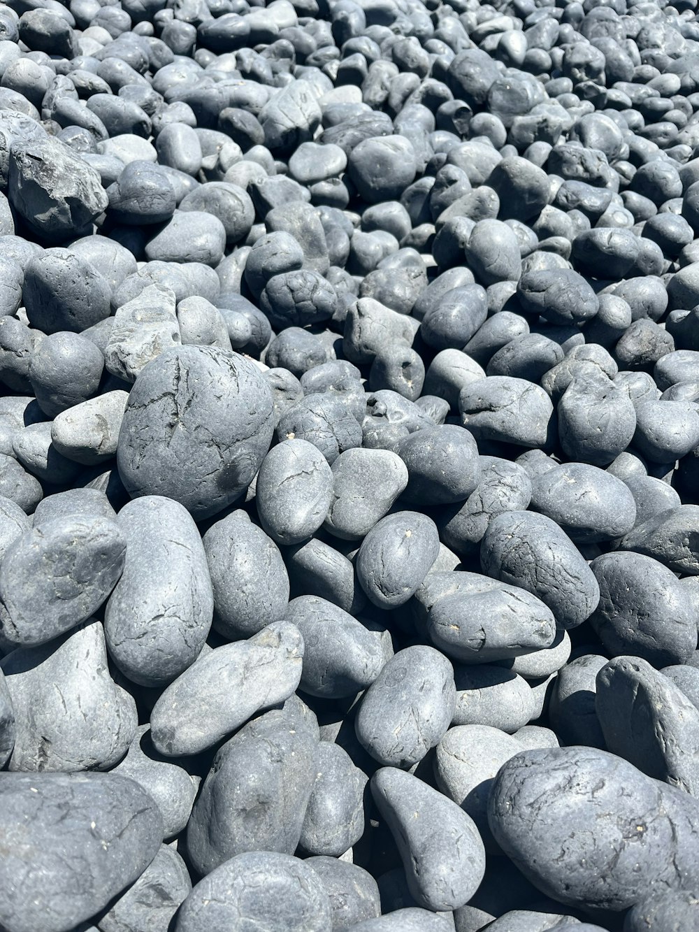 a bunch of rocks that are laying on the ground