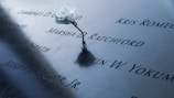 A single white rose is placed on a metallic memorial surface, which features engraved names.
