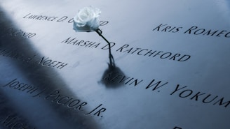 A single white rose is placed on a metallic memorial surface, which features engraved names.