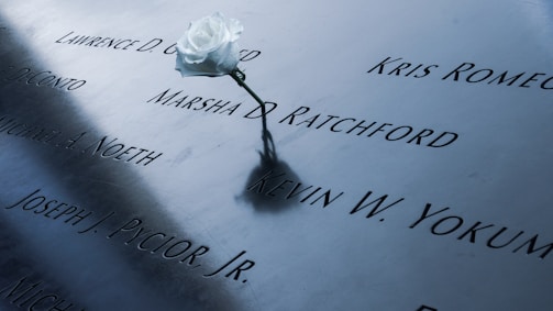 A single white rose is placed on a metallic memorial surface, which features engraved names.