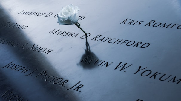 A single white rose is placed on a metallic memorial surface, which features engraved names.