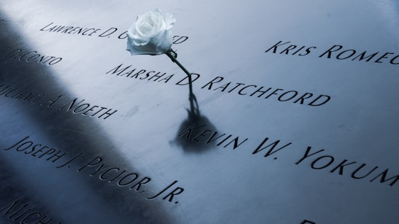 A single white rose is placed on a metallic memorial surface, which features engraved names.