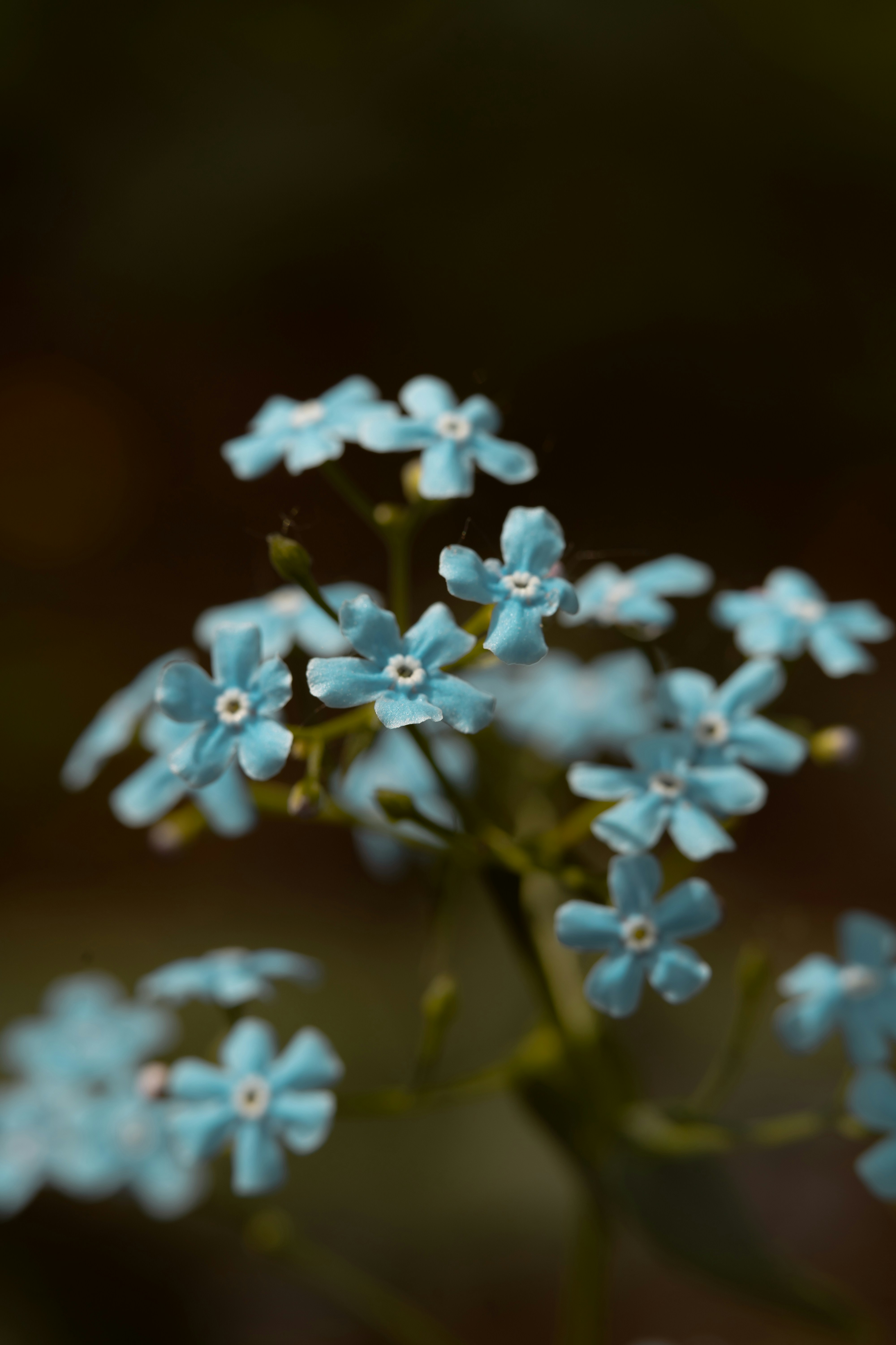 Photo by anamnesis33