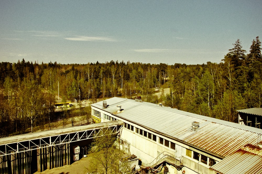 a train station in the middle of a forest