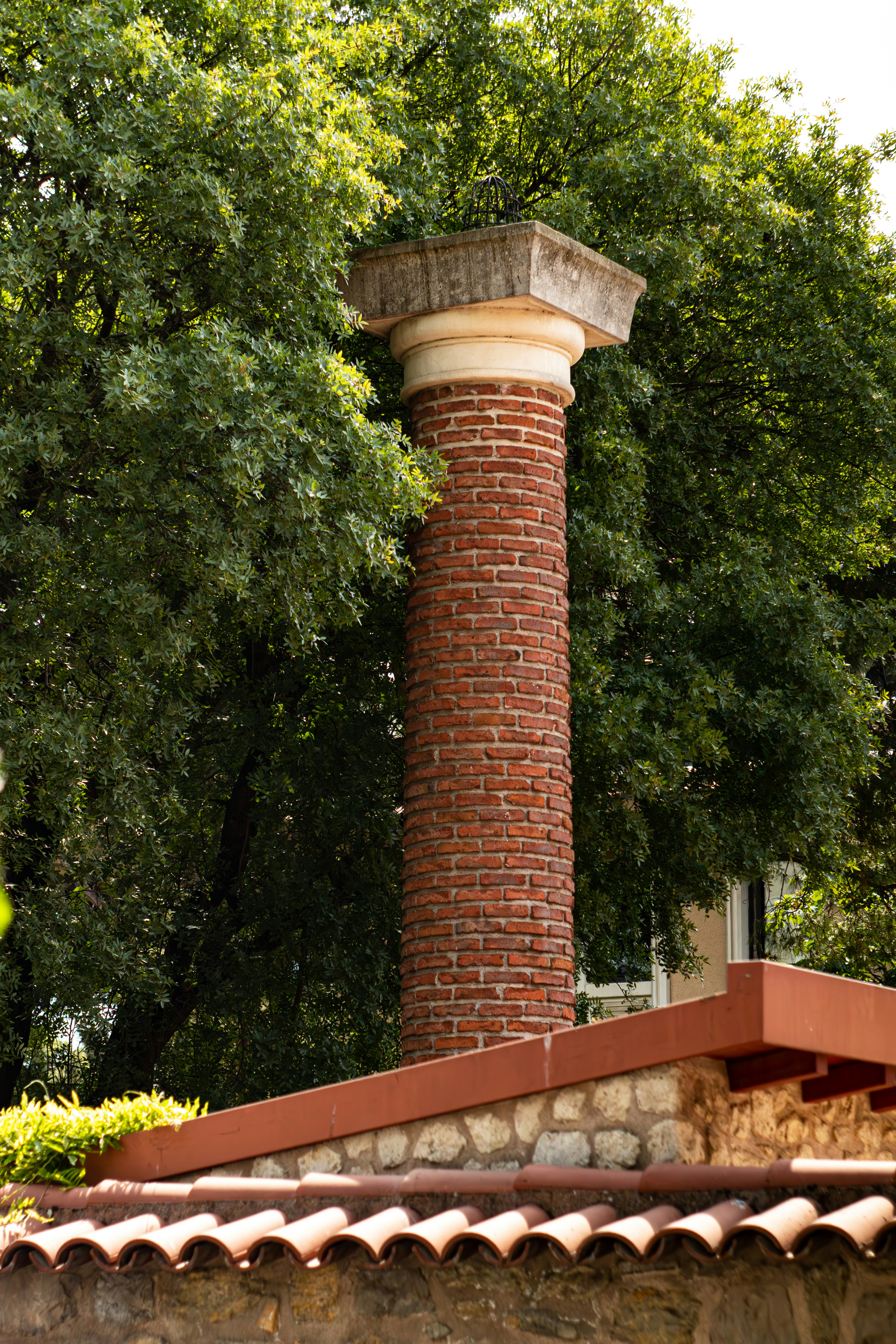 Photo by took_a_snap