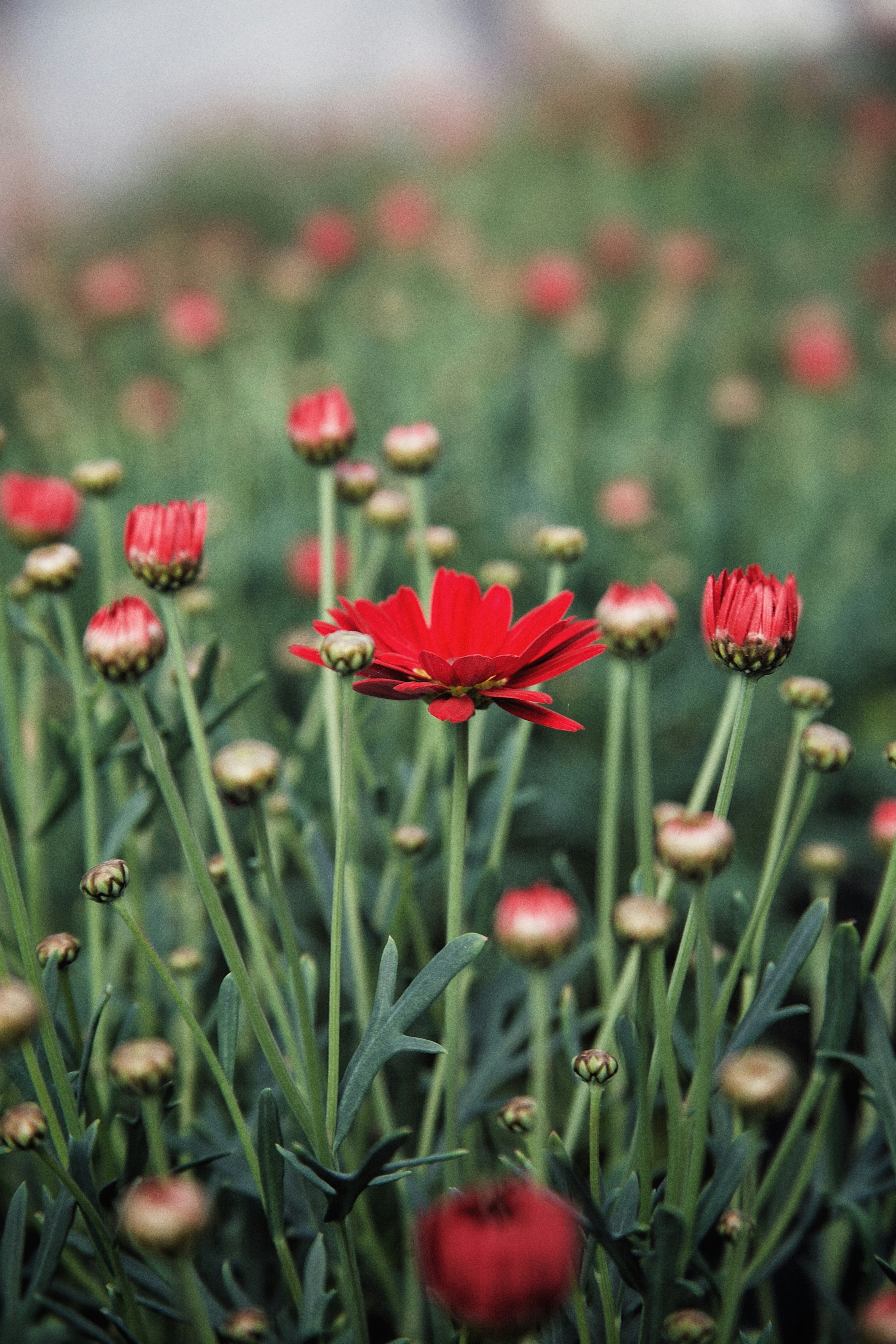 Photo by kristinokarlsen