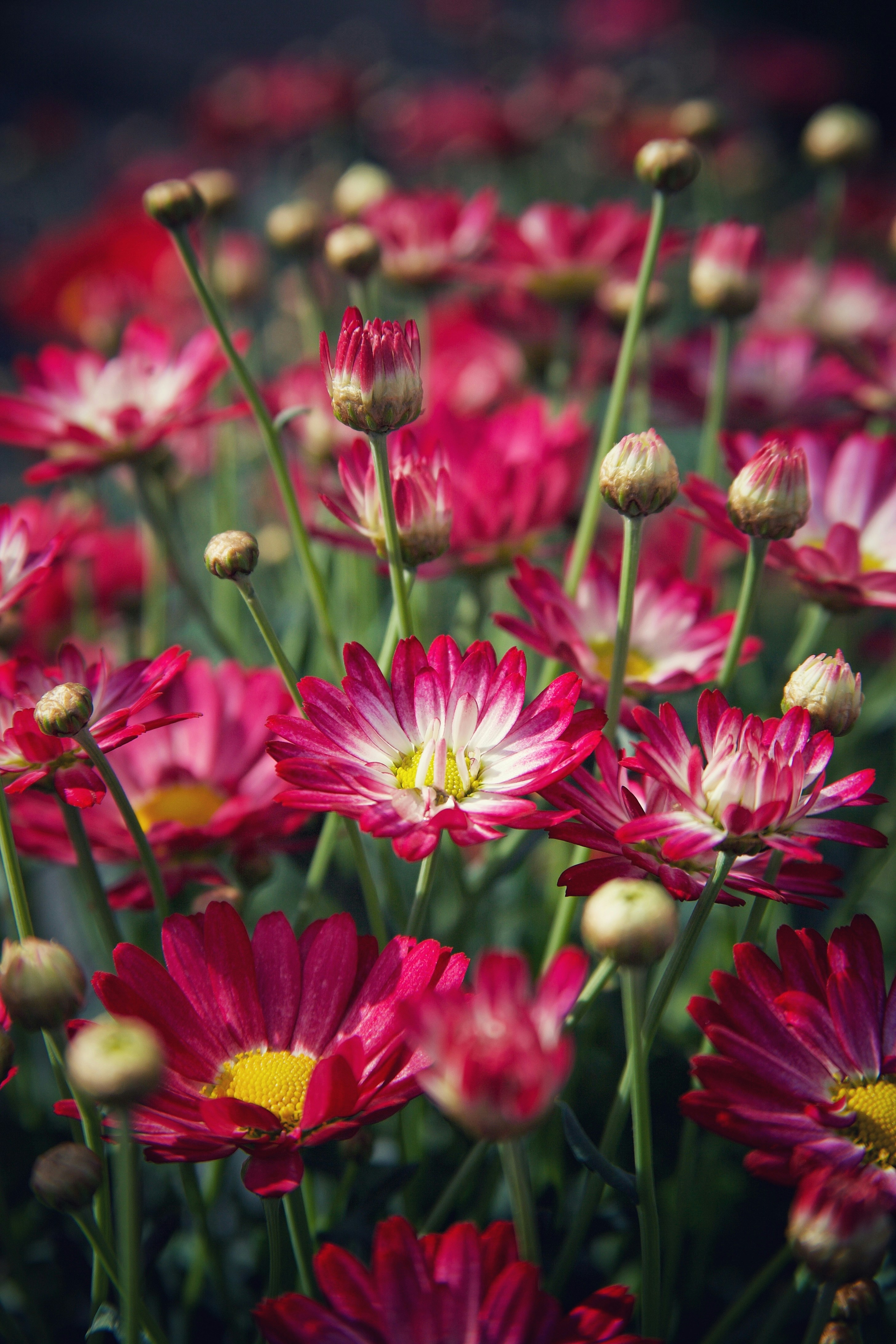 Photo by kristinokarlsen