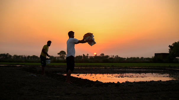 Field workers distributing mosquito nets in a rural village at sunset.