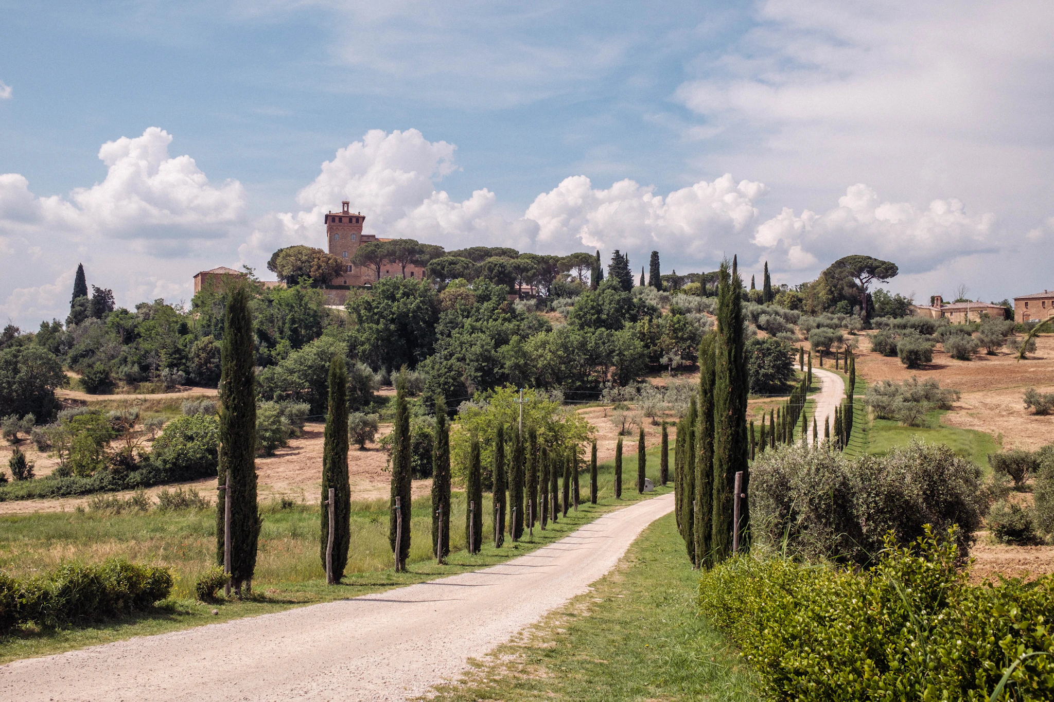 Bolgheri