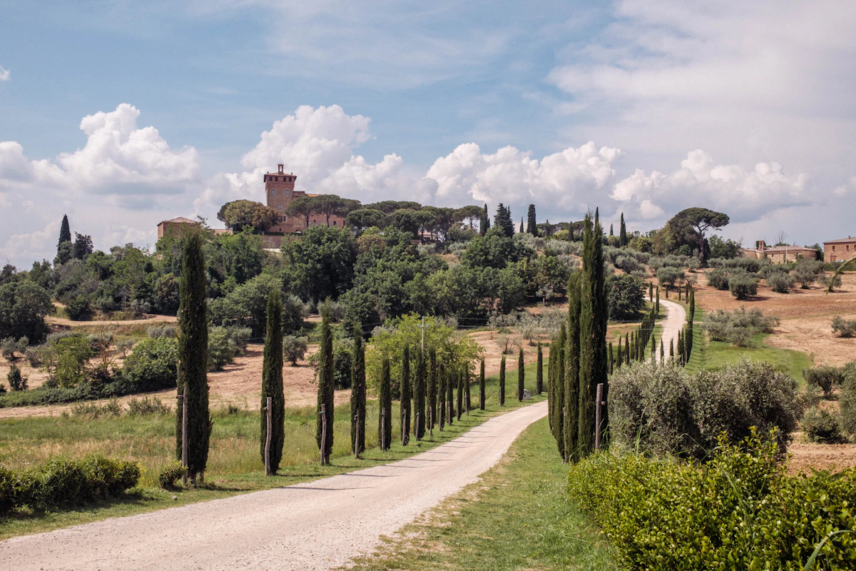 Bolgheri