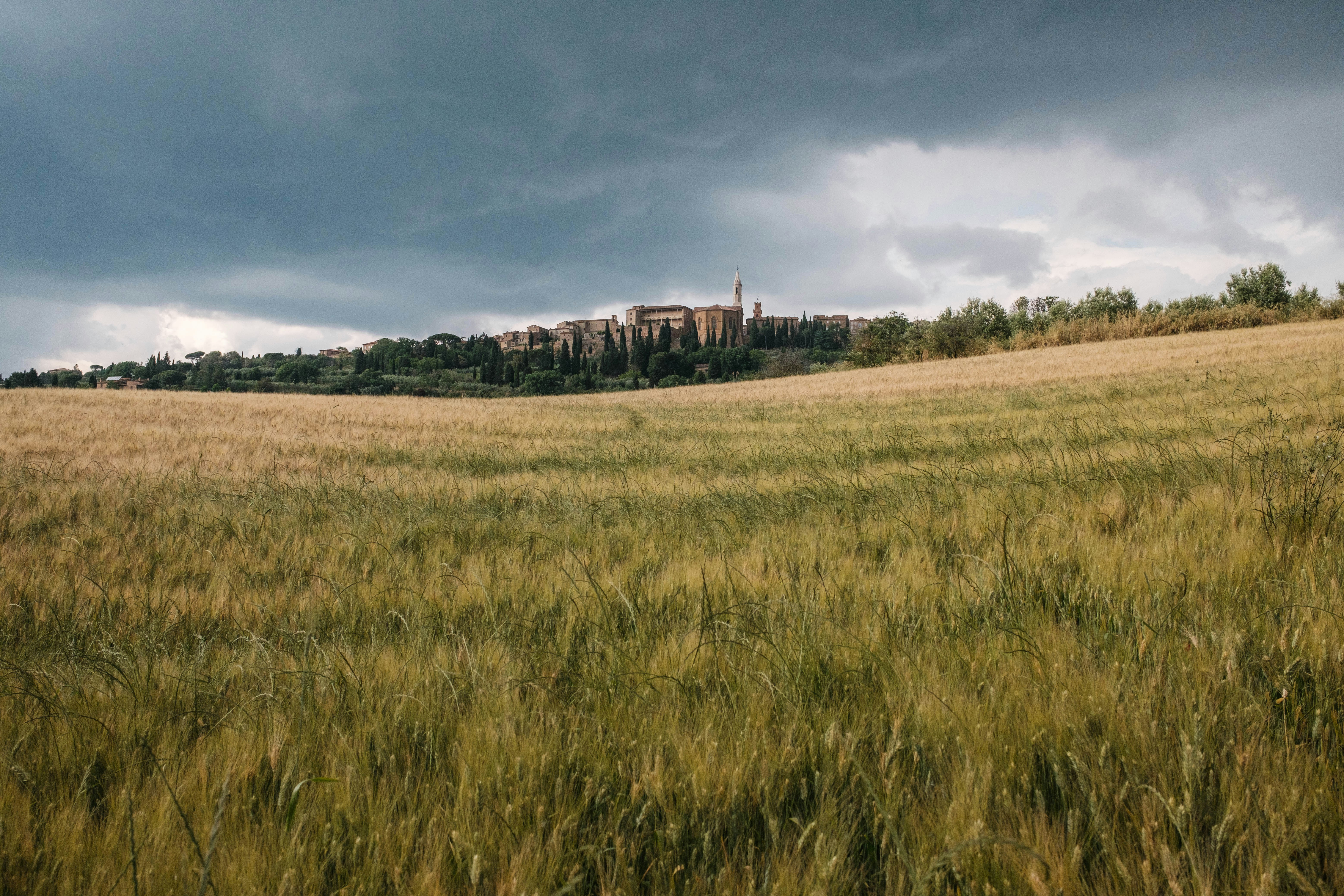 a large field of grass with a city in the background, 