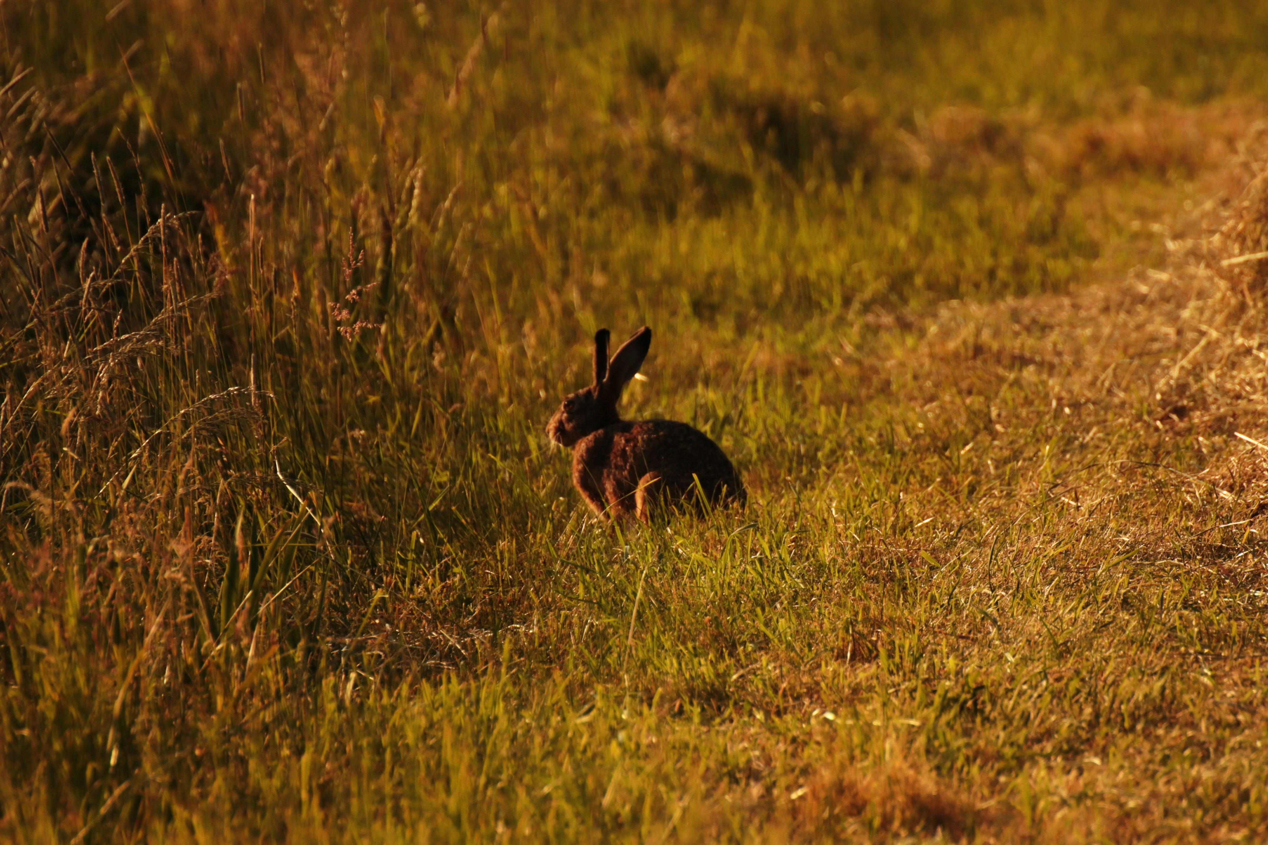 Photo by larsportjanow