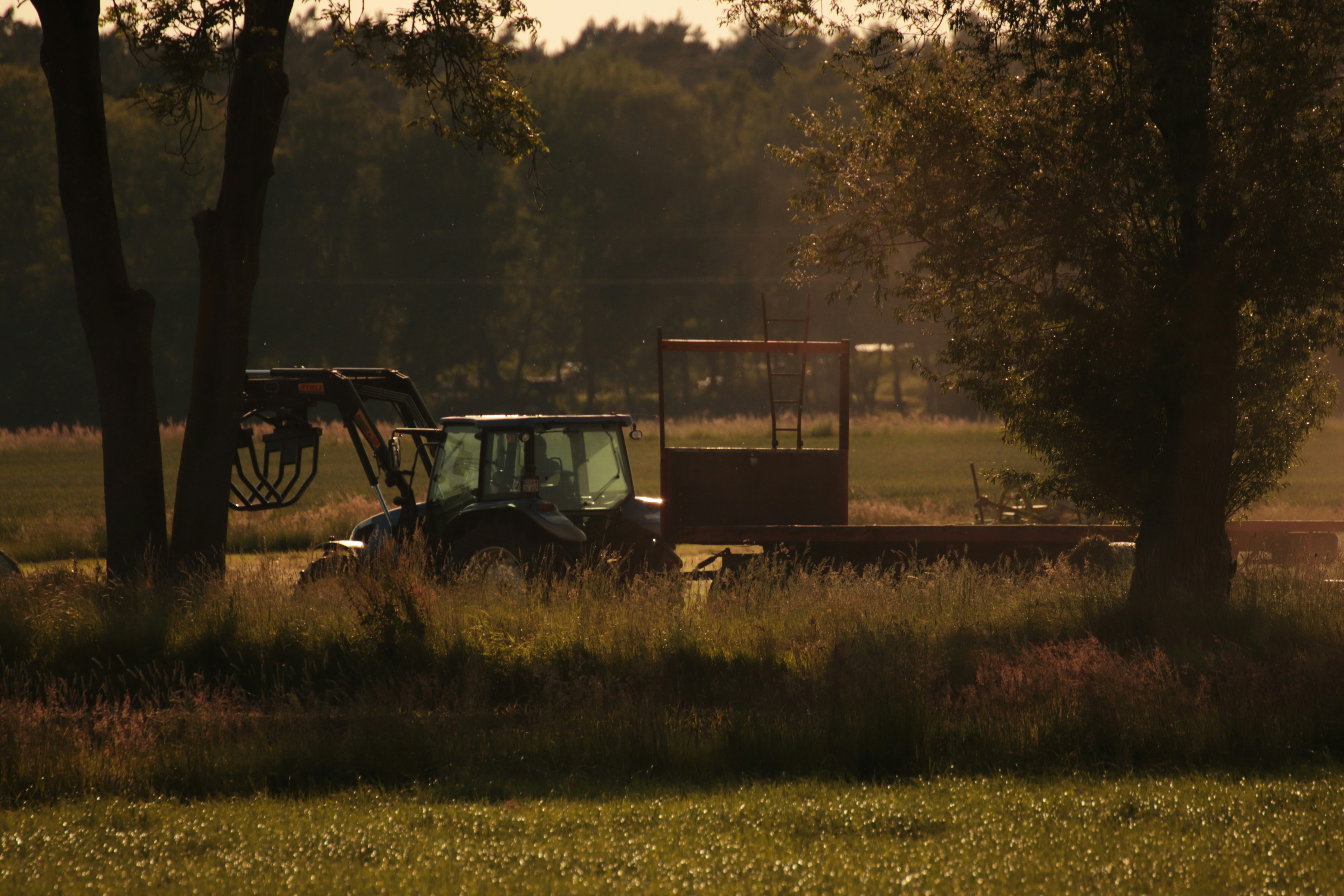 Photo by larsportjanow