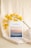 A white book titled 'The Gospels' rests against a soft, beige fabric background. Yellow orchids with reddish centers are elegantly arranged nearby, adding a vibrant touch. The cover of the book features an image of serene, pastel-colored dunes at sunset.