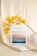 A white book titled 'The Gospels' rests against a soft, beige fabric background. Yellow orchids with reddish centers are elegantly arranged nearby, adding a vibrant touch. The cover of the book features an image of serene, pastel-colored dunes at sunset.