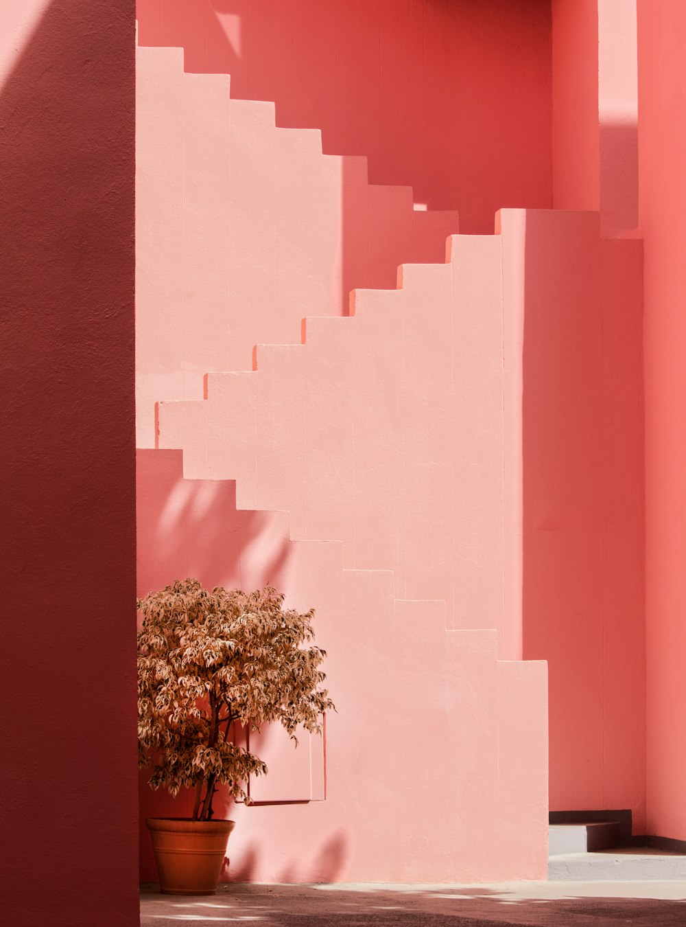 a pink building with a potted plant in front of it