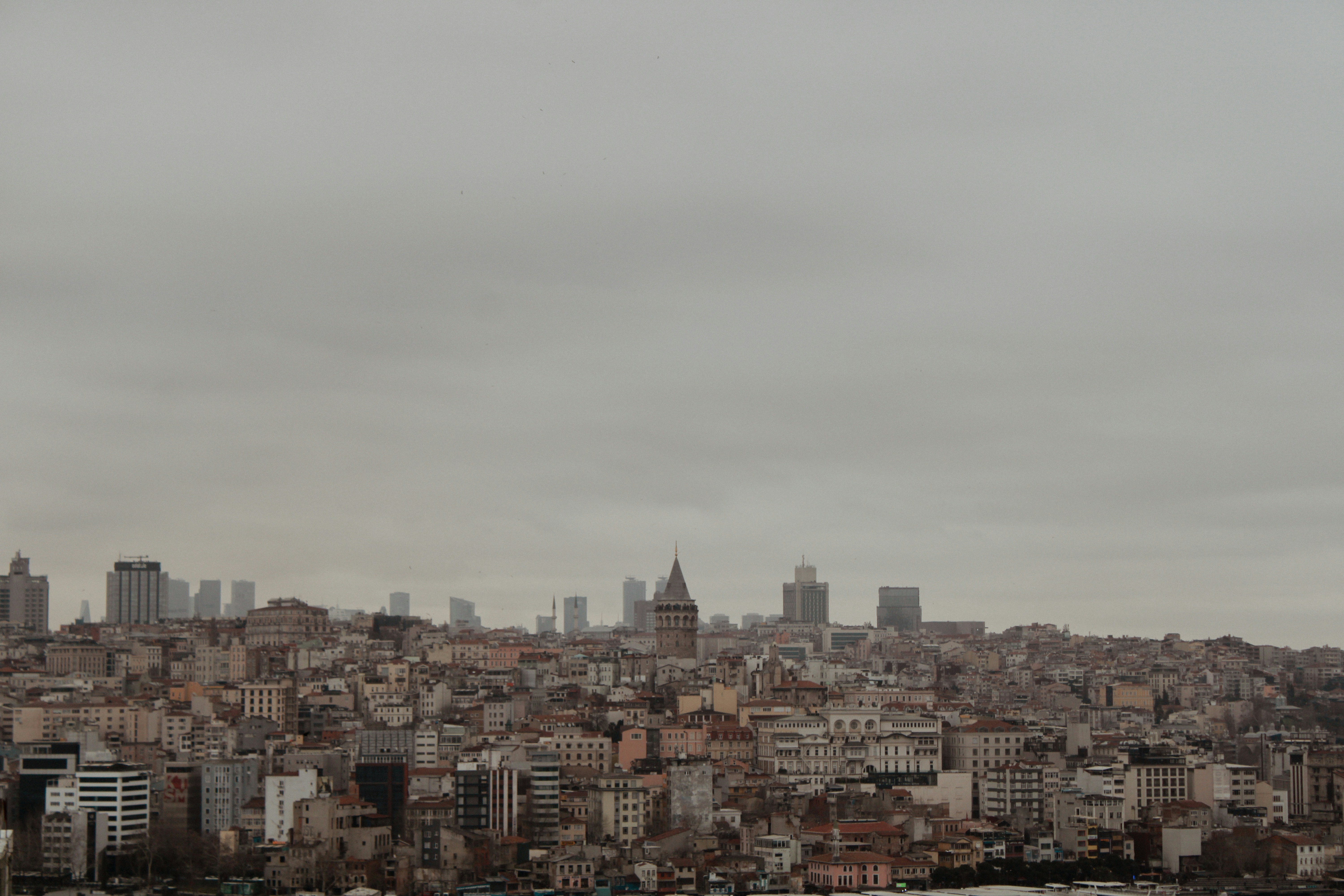 Photo by take_a_picture