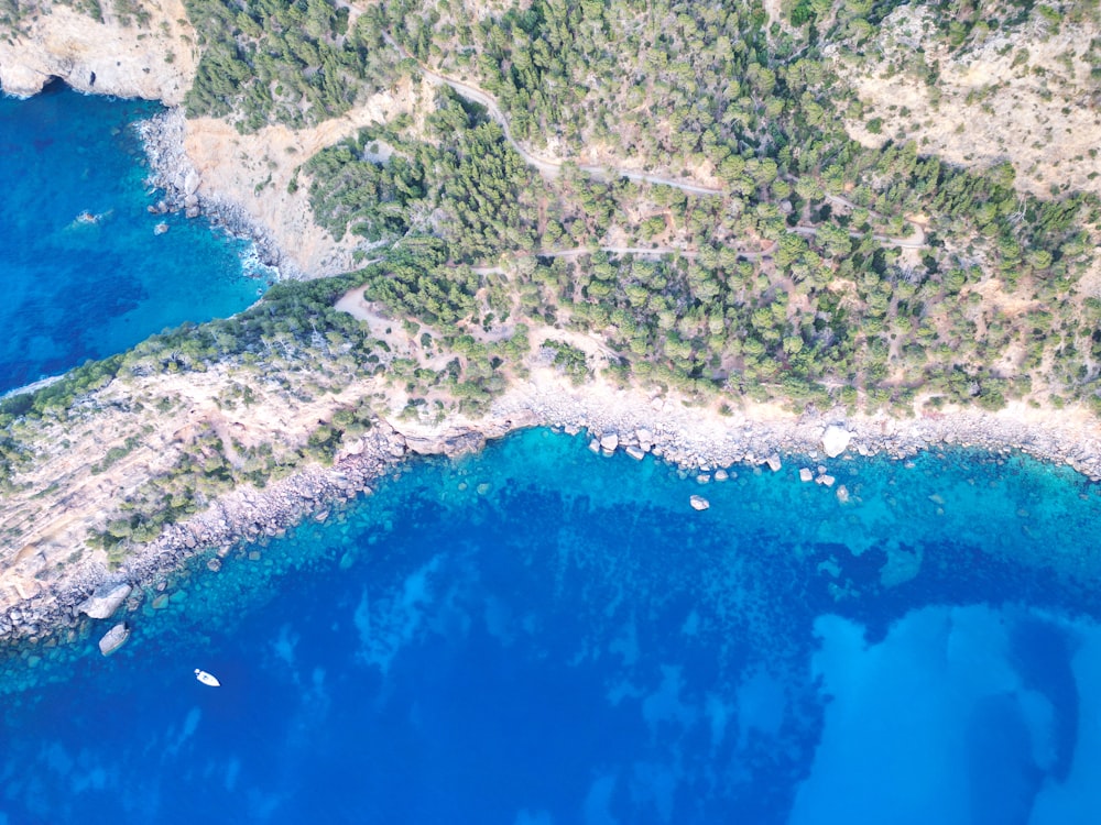 an aerial view of the blue waters and trees