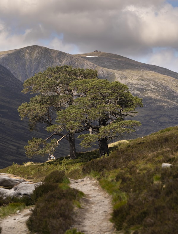 Walkers returning from a Munro summit in the Cairngorms