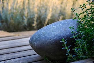 Close-up of smooth stones and eucalyptus leaves resting on a wooden surface, evoking relaxation.