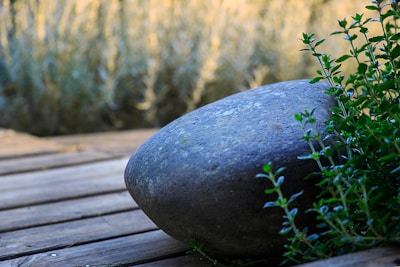 A serene display of polished healing stones resting on soft green leaves with gentle natural light.