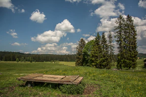 A rustic wooden cart filled with fresh farming tools under a bright blue sky