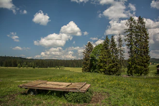 A rustic wooden cart filled with fresh farming tools under a bright blue sky