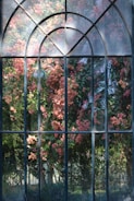 A large window with an arched top reflects a lush scene outside filled with vibrant pink flowers and green foliage. The glass panes feature a slightly weathered, artistic look, adding depth and texture to the reflection of the blooming plants.