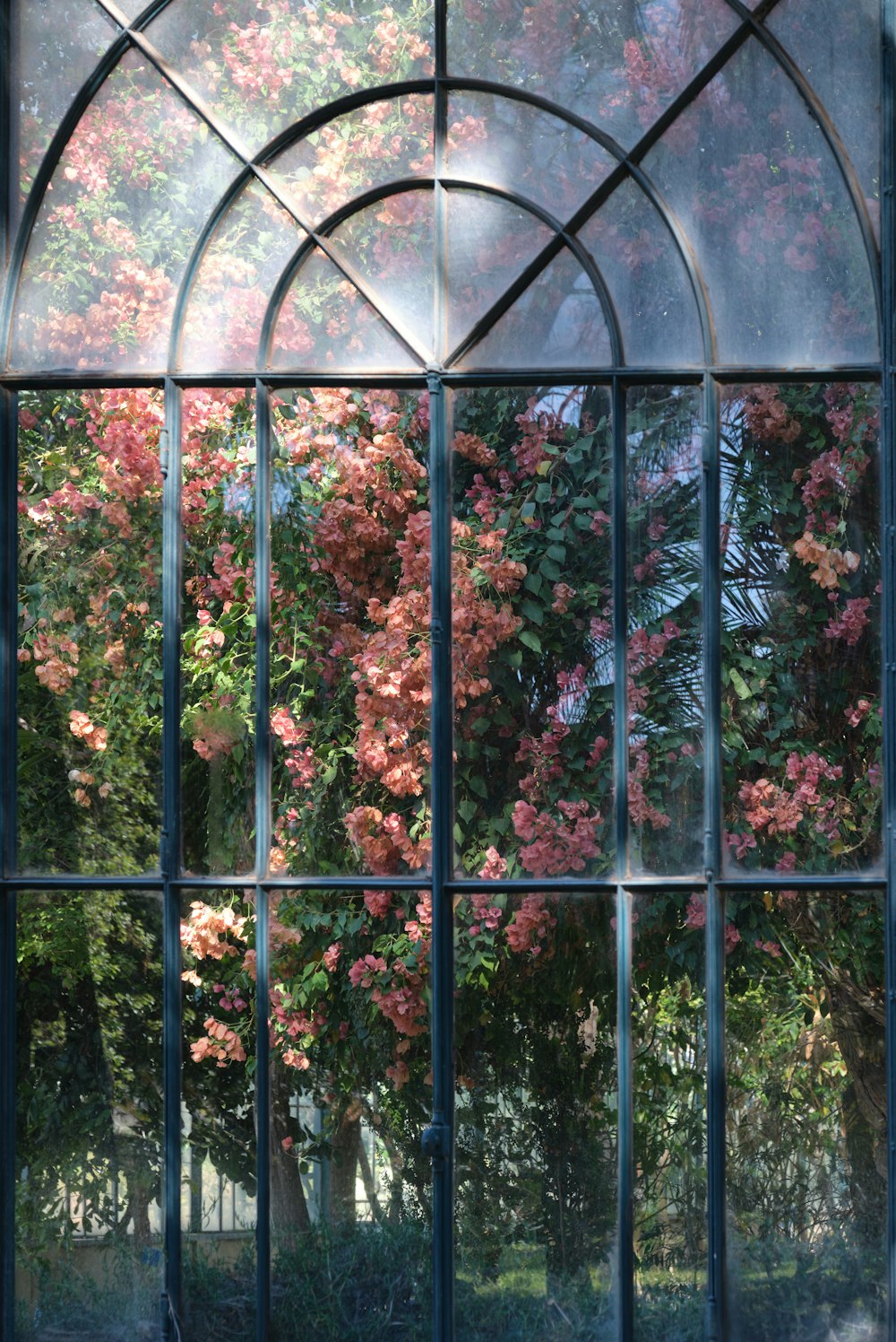 a window that has a bunch of flowers in it