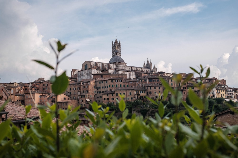 a view of a city from a distance