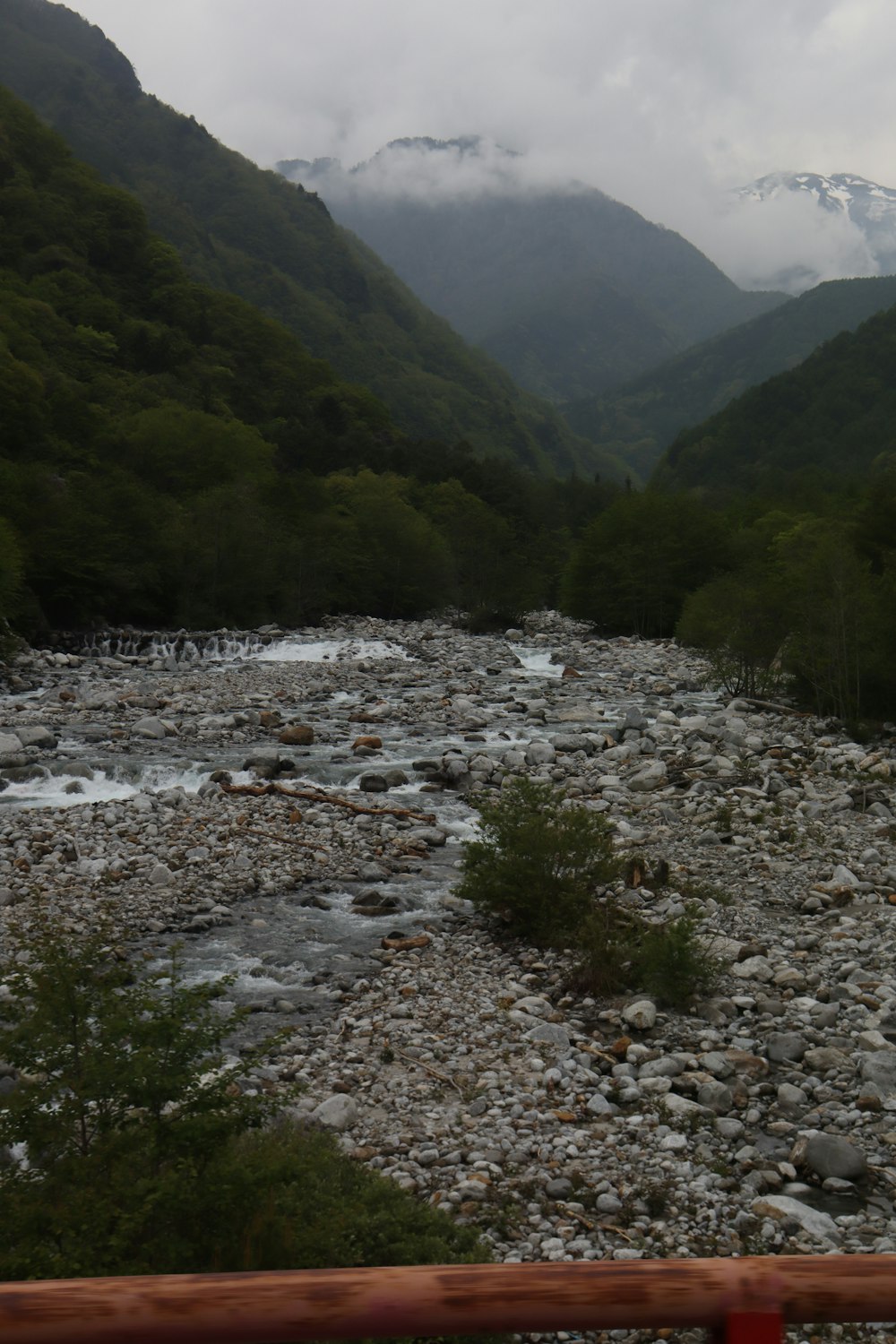 a river running through a lush green forest