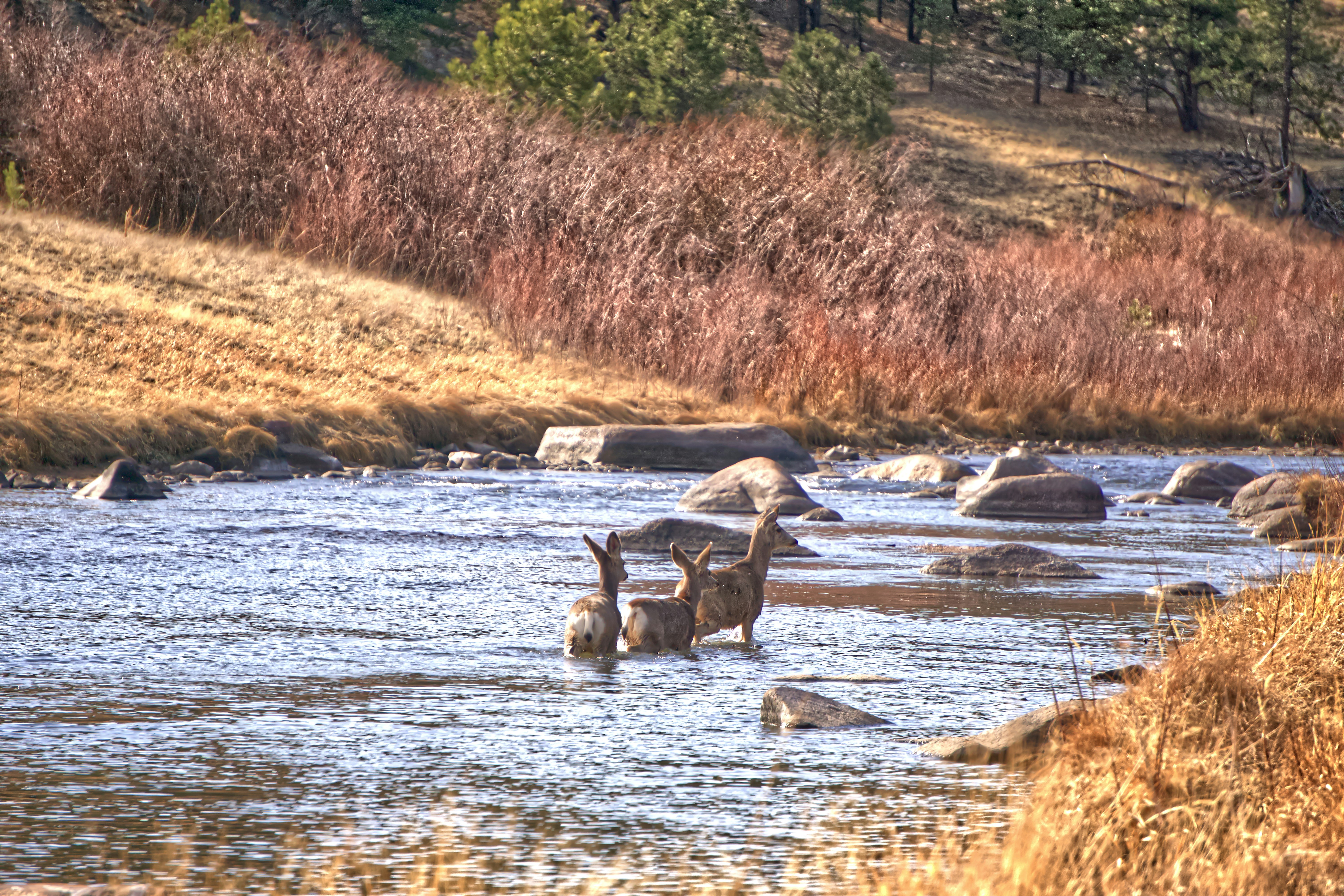 Photo by creptdesigns