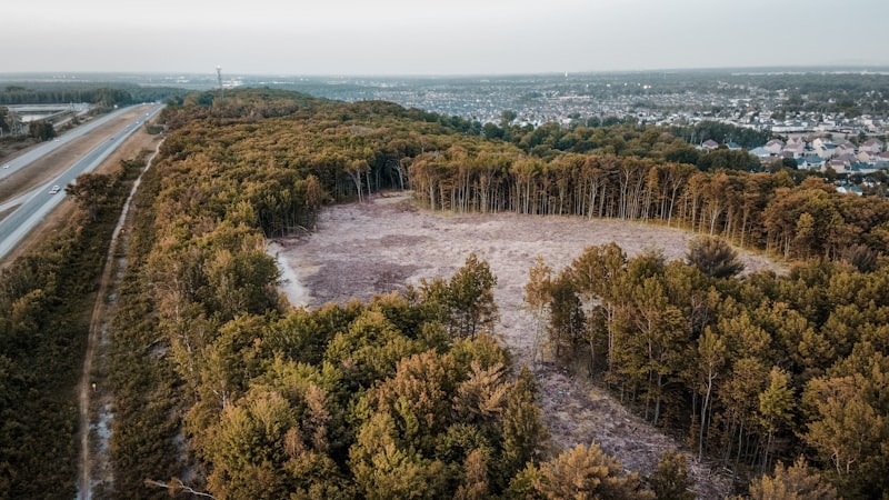 How to Spot Deforestation From Satellite Imagery