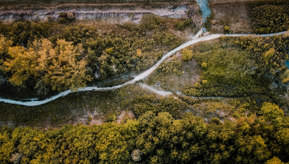 Vista aérea de uma estrada sinuosa na floresta