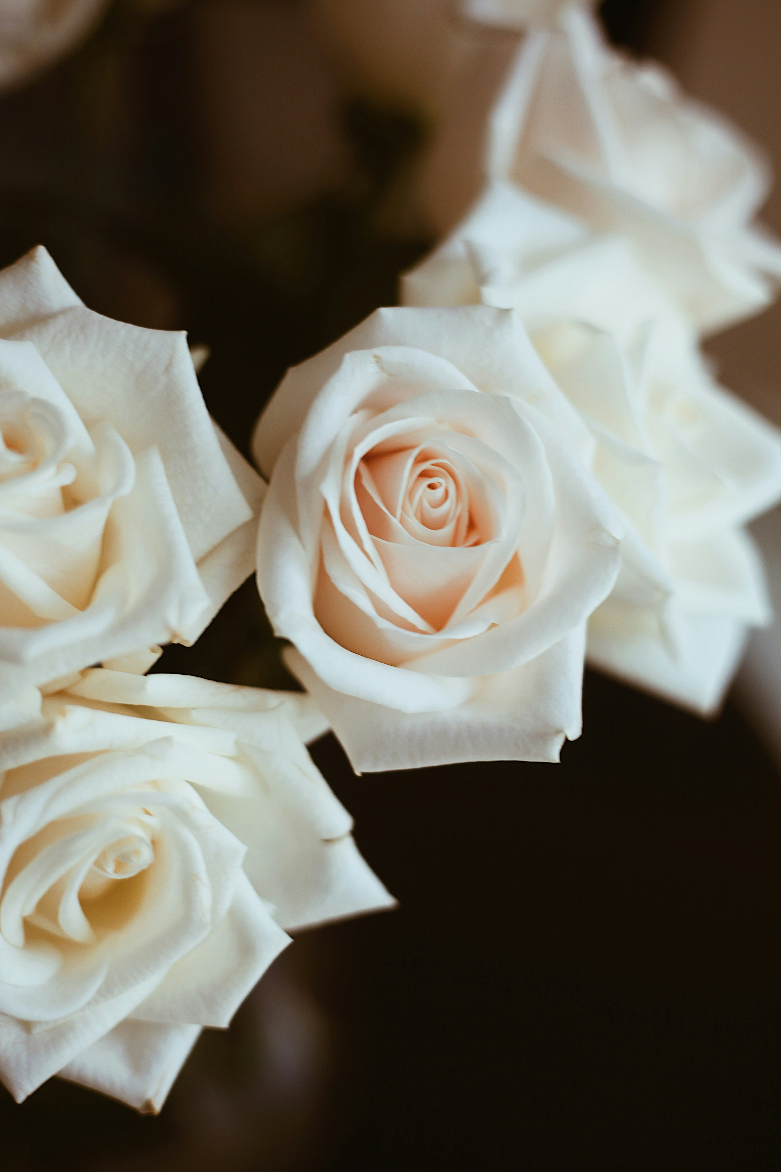 Photo by earthtokarly