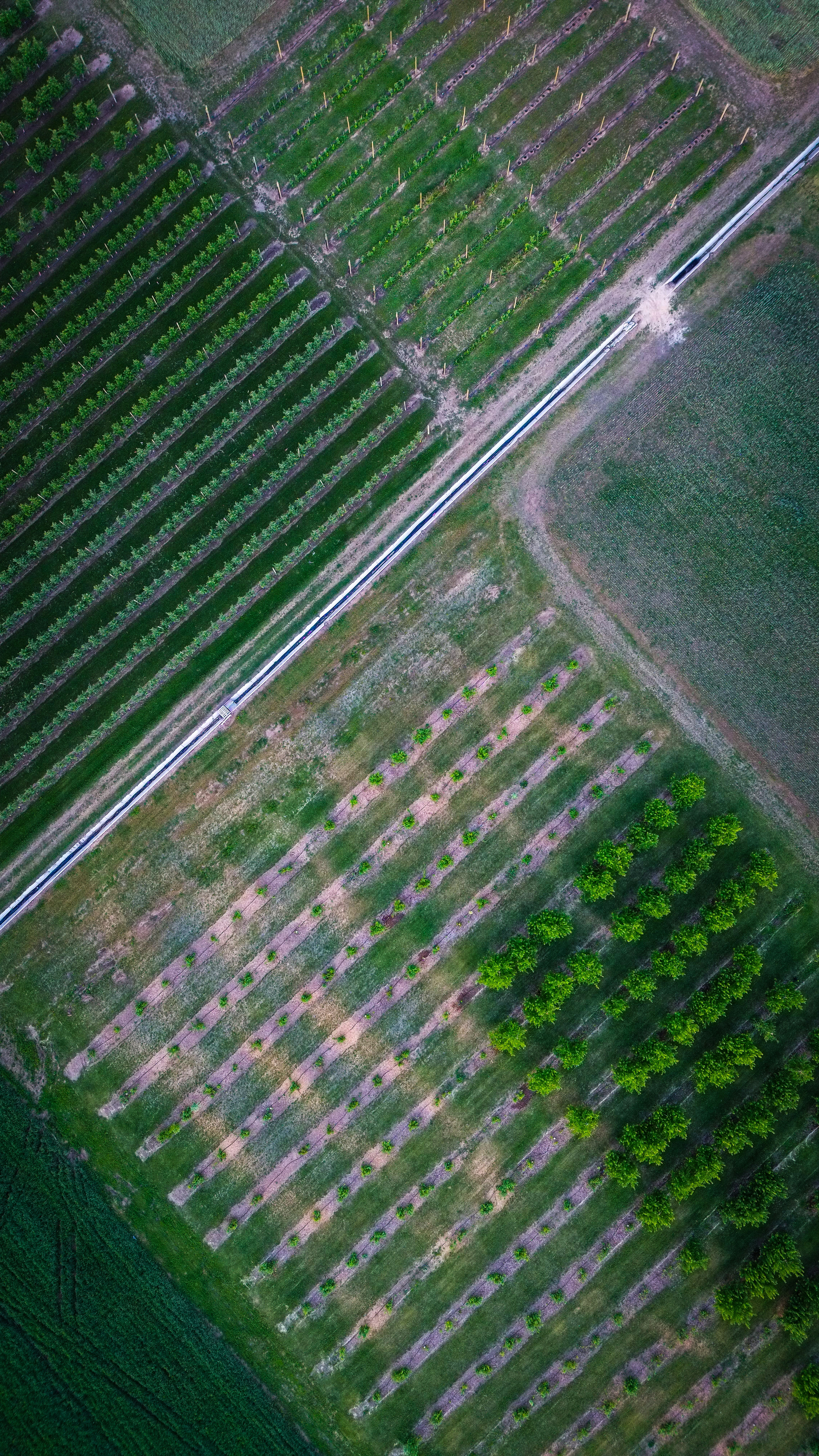 an aerial view of a field with trees