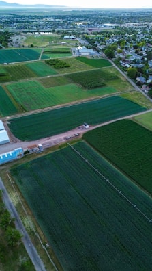 Aerial view of an expansive agricultural area divided into large rectangular plots of farmland. These plots are various shades of green, indicating different types of crops or stages of growth. Adjacent to the farmland is a small residential area with houses and trees, and there are some buildings and structures near the fields. In the background, a small body of water is visible as well as a distant mountain range. The layout of the farmland is organized and there are several dirt roads and paths intersecting the fields.