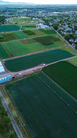 Aerial view of an expansive agricultural area divided into large rectangular plots of farmland. These plots are various shades of green, indicating different types of crops or stages of growth. Adjacent to the farmland is a small residential area with houses and trees, and there are some buildings and structures near the fields. In the background, a small body of water is visible as well as a distant mountain range. The layout of the farmland is organized and there are several dirt roads and paths intersecting the fields.