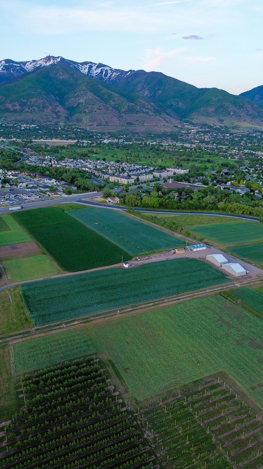 an aerial view of a farm land with mountains in the background