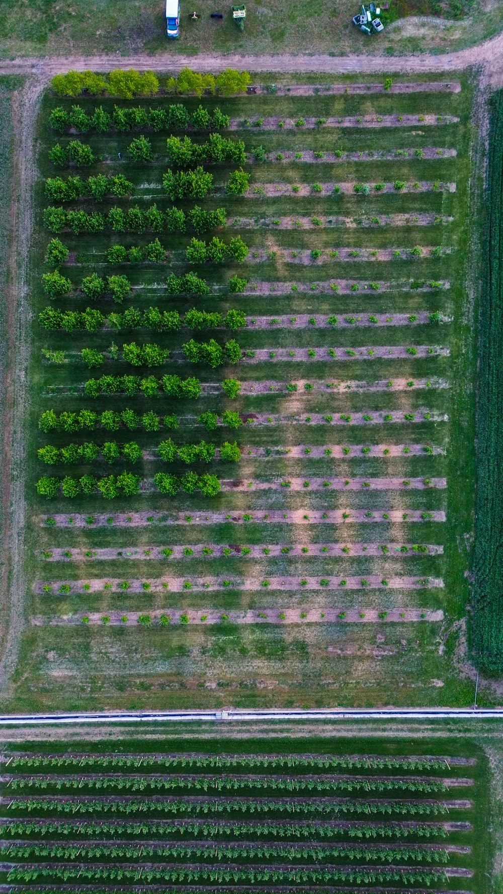 an aerial view of a field of crops