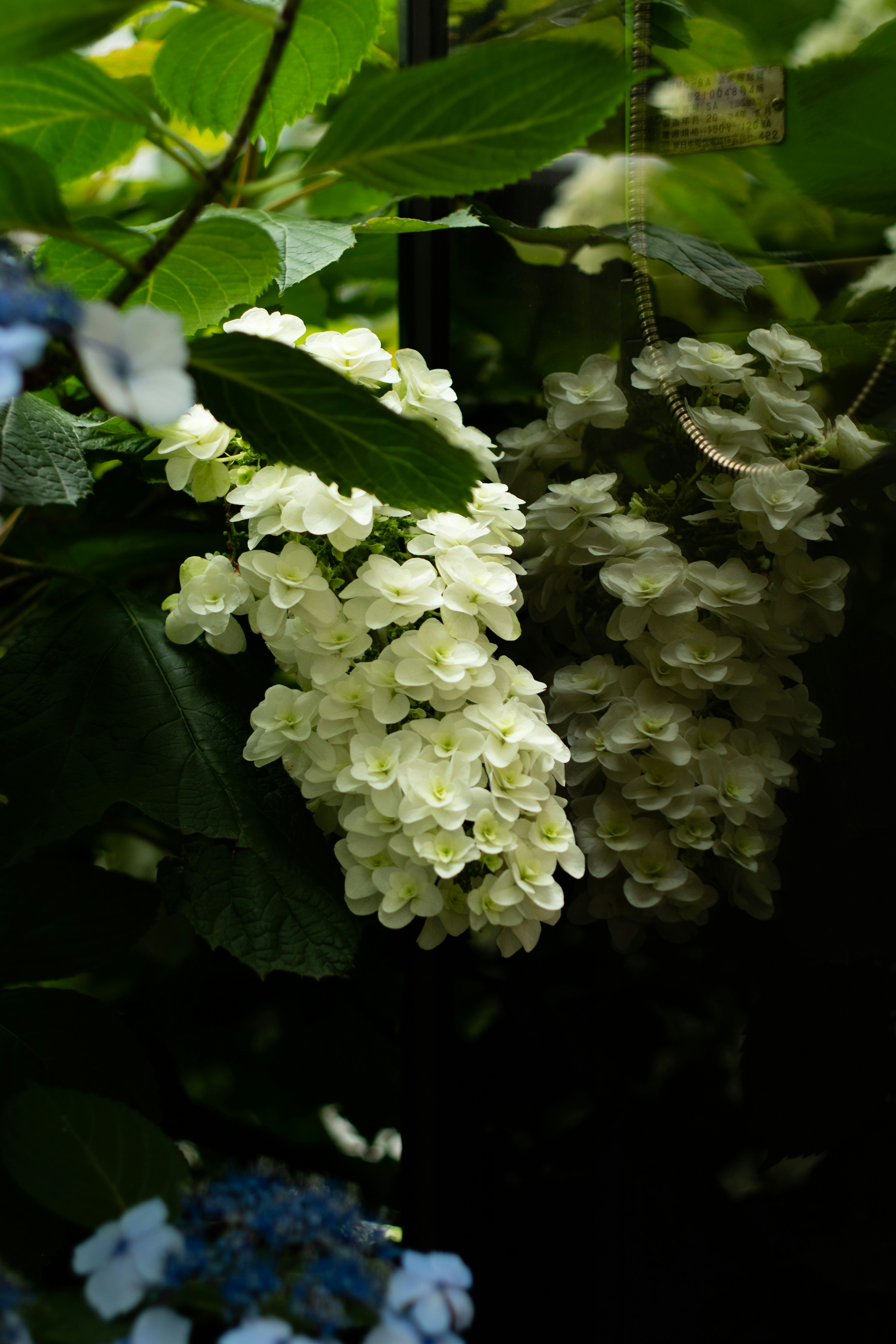 Photo by takatsuchida