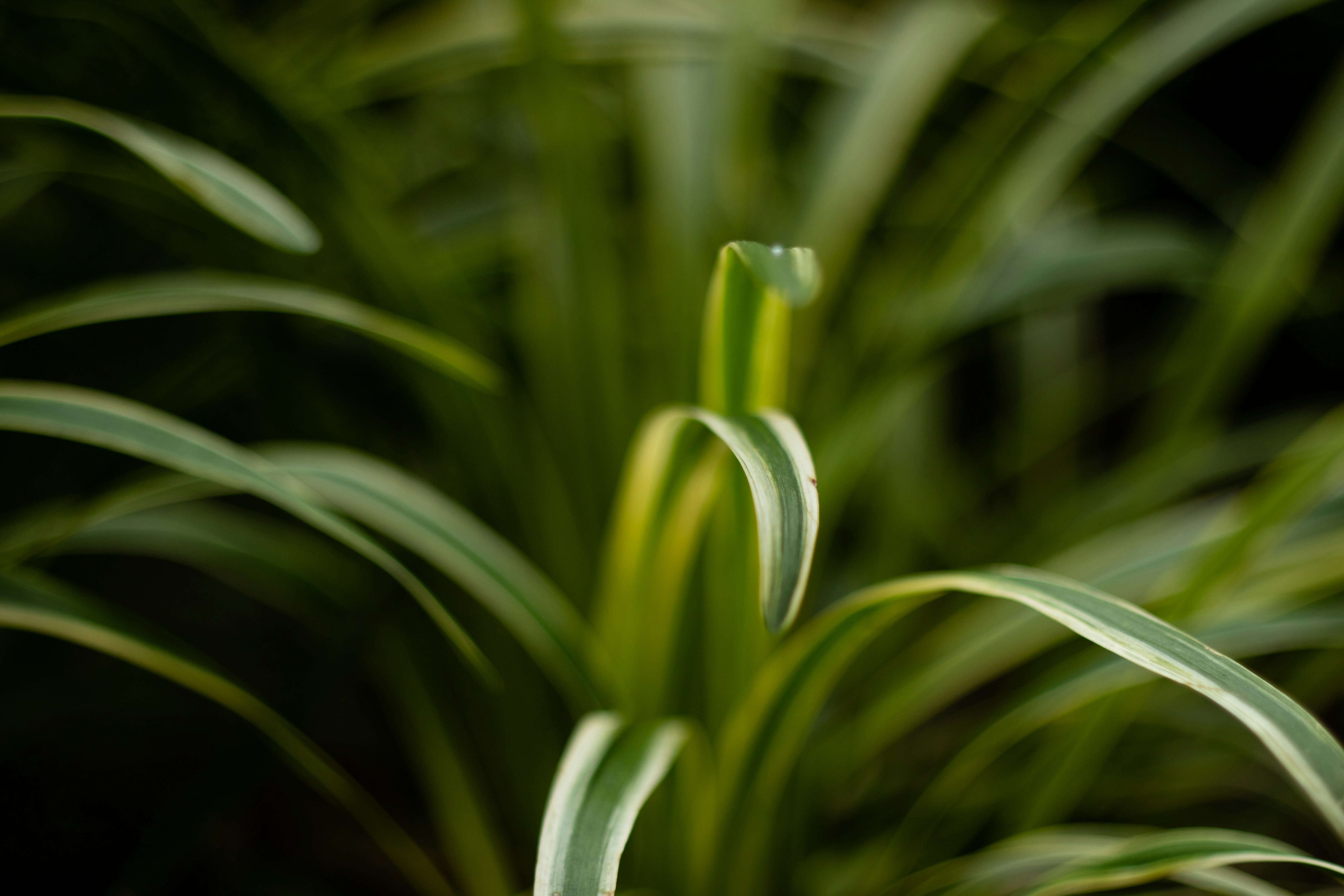 Photo by takatsuchida