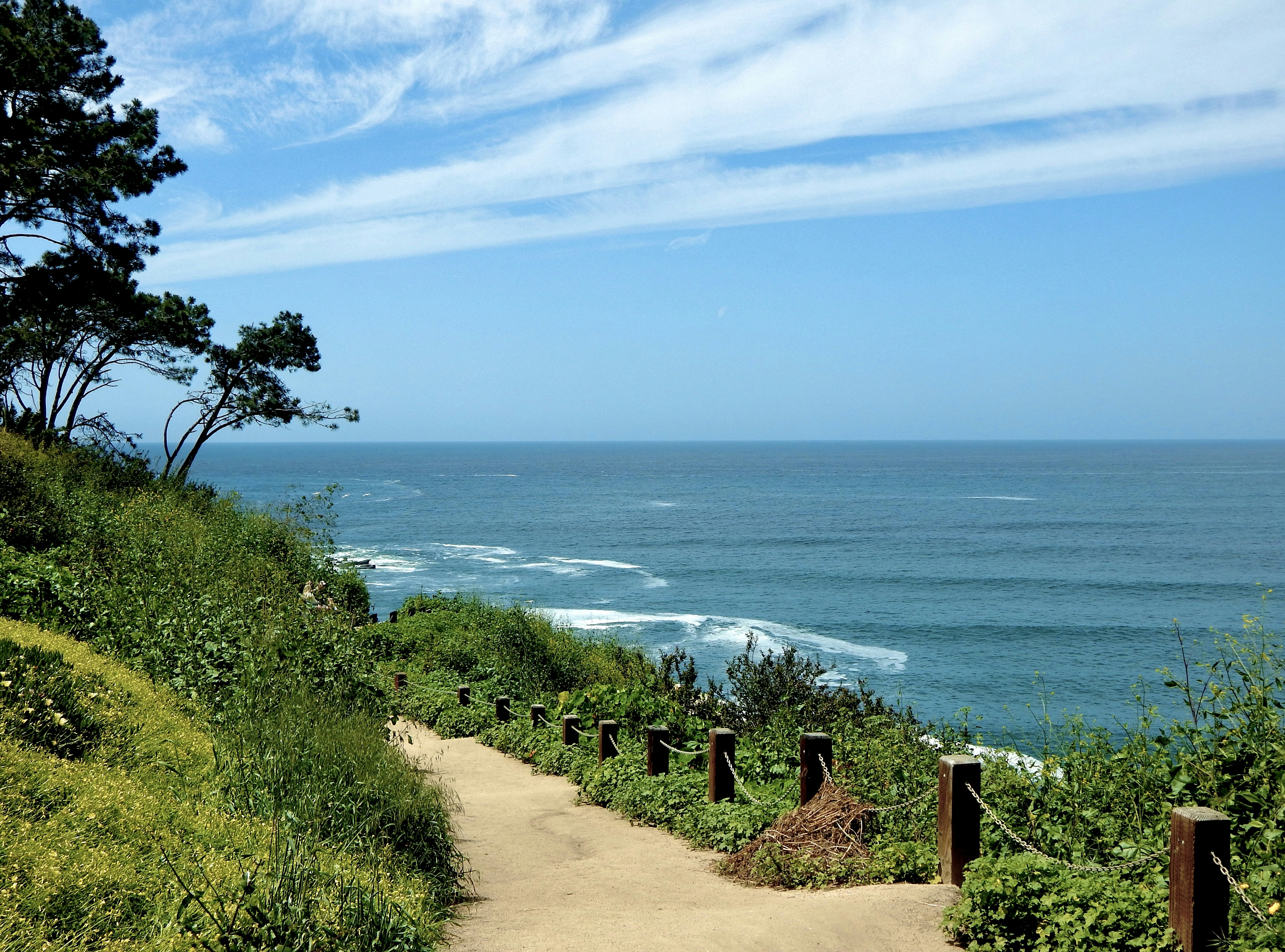 a path leading to the ocean on a sunny day