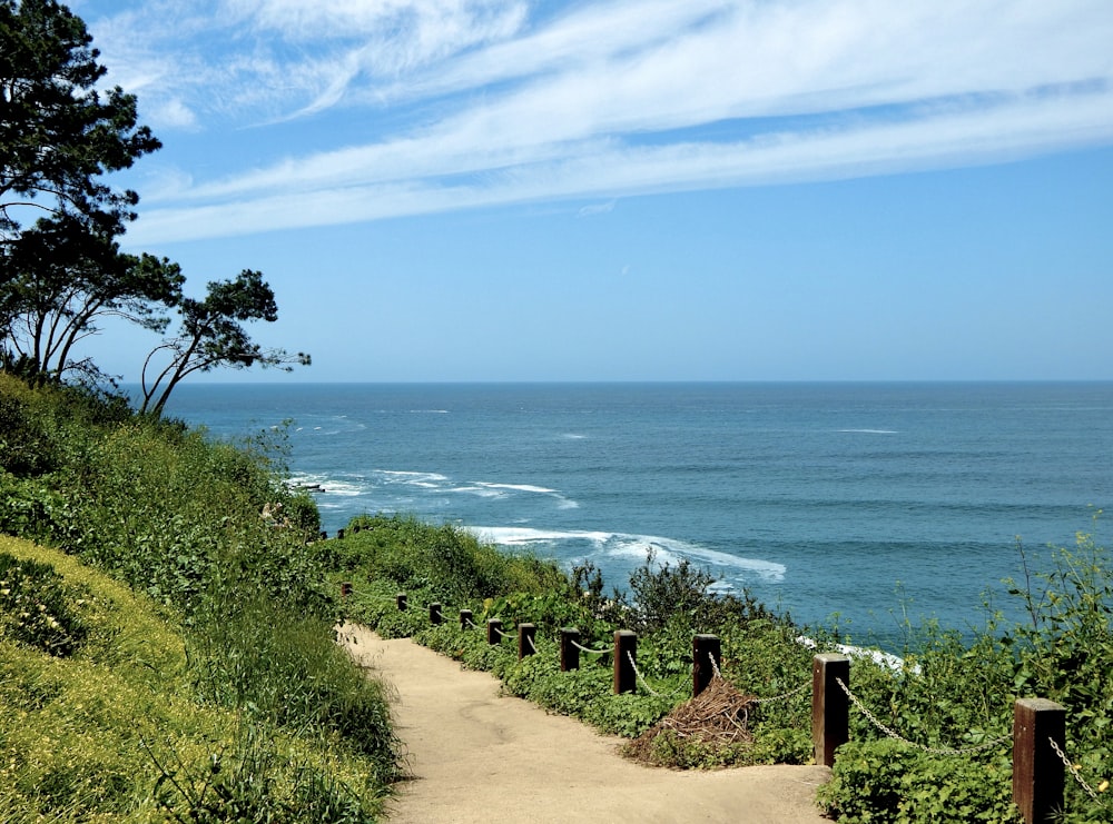 a path leading to the ocean on a sunny day