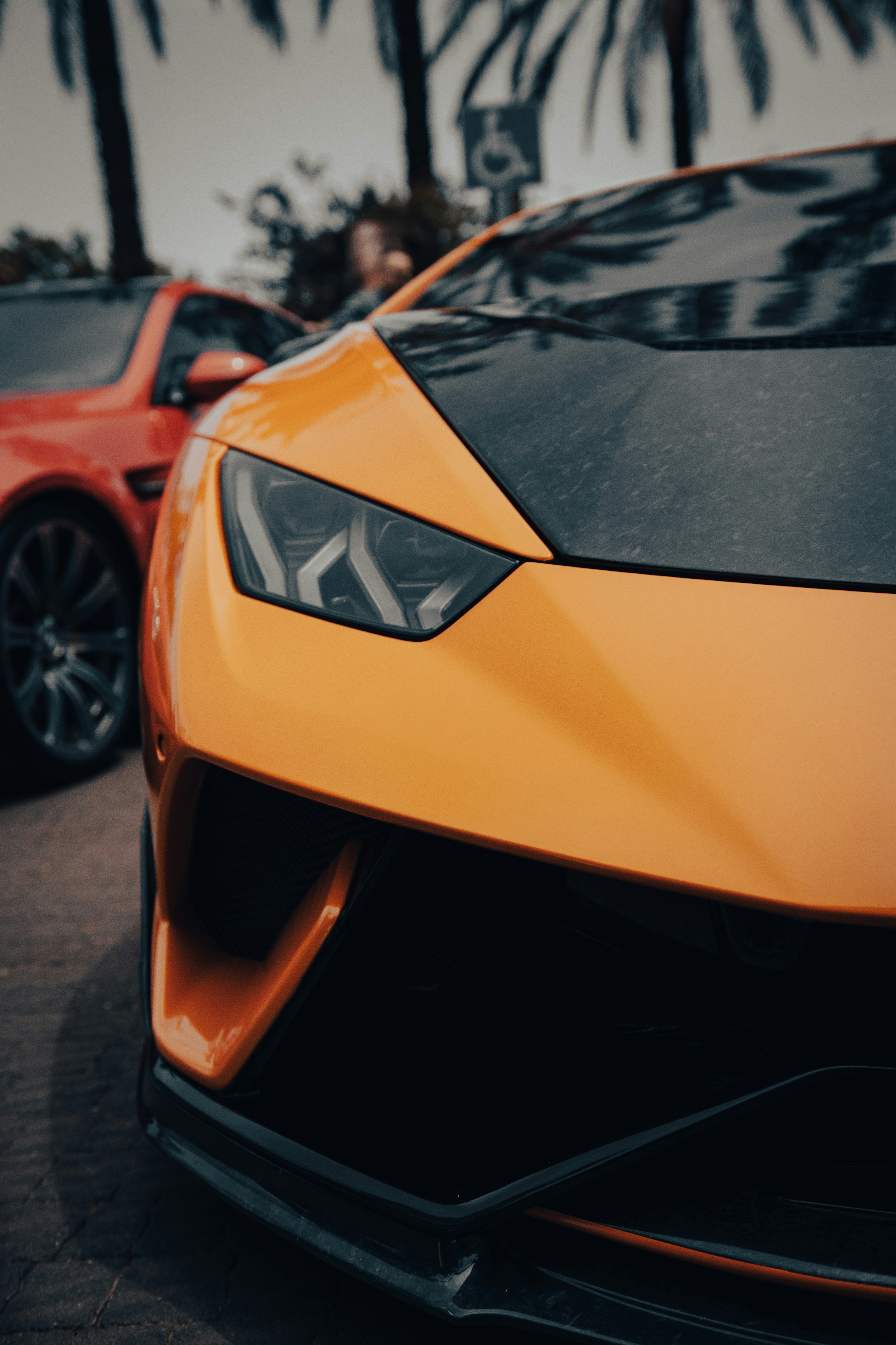 Photo by shoham_avisrur